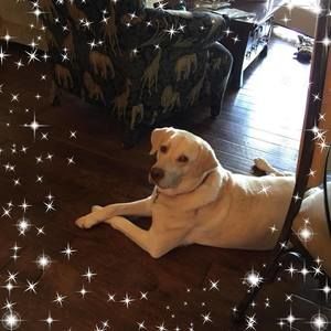 Meet your Posher, Patsy